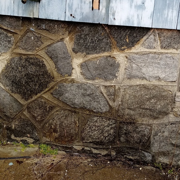 Meet your Posher, Rebel - Picture 4 of 8